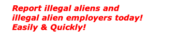 Report Illegal Aliens and Employers Heading